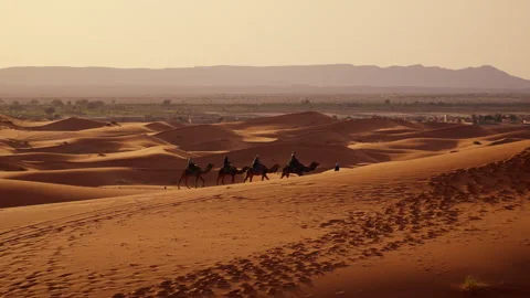 Camel Caravan Journey Through Sahara Desert at Sunset 動画素材 332716366