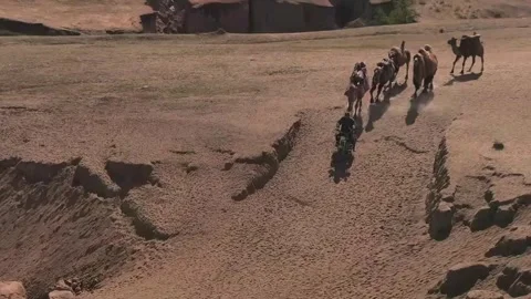 Camel Caravan Migrating Across Arid Landscape with Cliff Edge, Xinjiang, China Видео 337857829