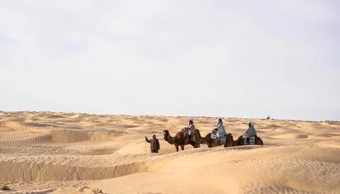 Camel caravan Stock Photos