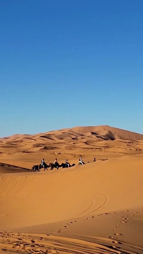 Camel caravan riding across sahara desert sand dunes Stock Footage 332901414