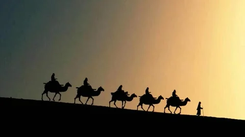 Camel caravan in the sandy desert. Stock Footage 259152177