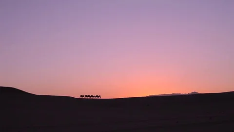 Camel caravan silhouette at sunset Видео 77215982