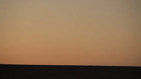 Camel caravan silhouette at sunset Видео 77226064
