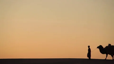 Camel caravan silhouette at sunset Видео 77234056