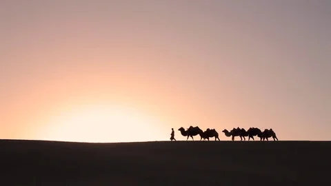 Camel caravan silhouette at sunset Видео 77242393