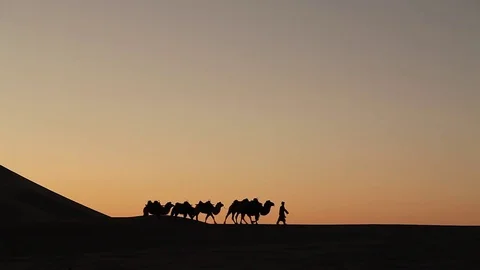 Camel caravan silhouette at sunset Видео 77284250