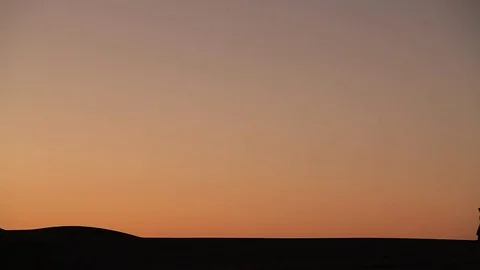 Camel caravan silhouette at sunset Stock Footage 77288527