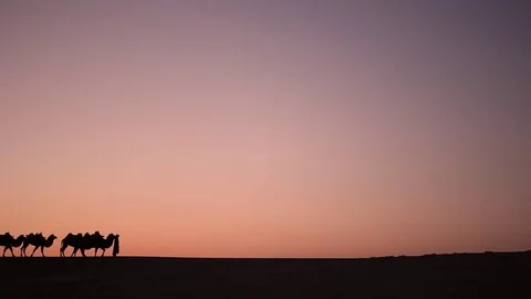 Camel caravan silhouette at sunset Видео 77367780