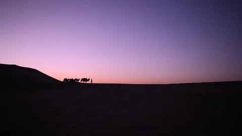 Camel caravan silhouette at sunset Vidéo 77398860