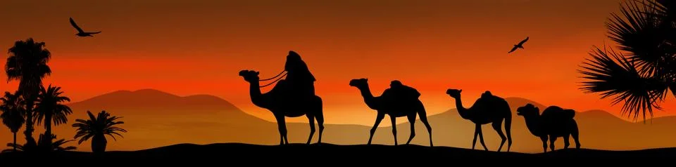 Camel caravan on sunset Stock Illustration