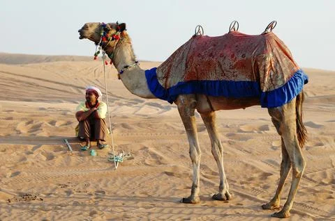 Camel Care taker in desert Stock Photos