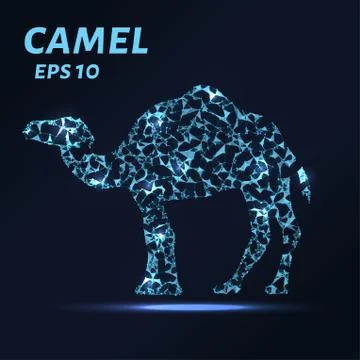 Camel consists of points, lines and triangles. The polygon shape in the for.. Stock Illustration