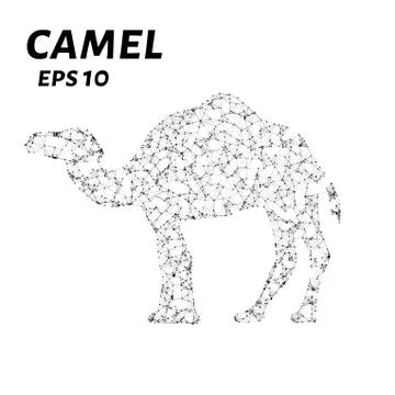 Camel consists of points, lines and triangles. The polygon shape in the for.. Stock Illustration