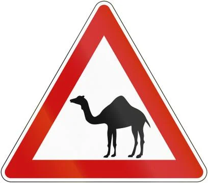 Camel Crossing Illustrazione stock