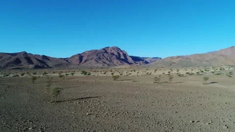 Camel in the desert Stock Footage 134456493