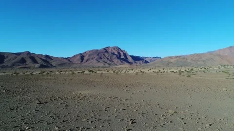 Camel in the desert Stock Footage 134456542