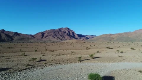 Camel in the desert Stock Footage 134456786