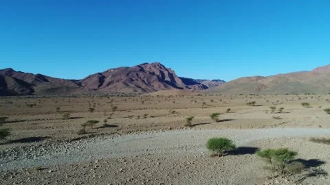 Camel in the desert Stock Footage 134456788