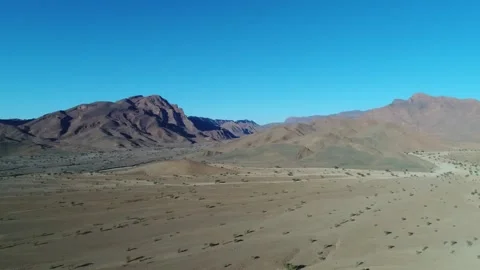 Camel in the desert Stock Footage 134457171