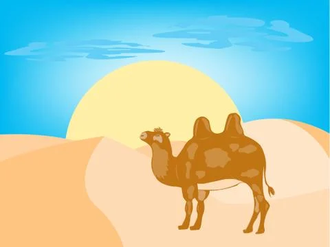 Camel in desert Stock Illustration