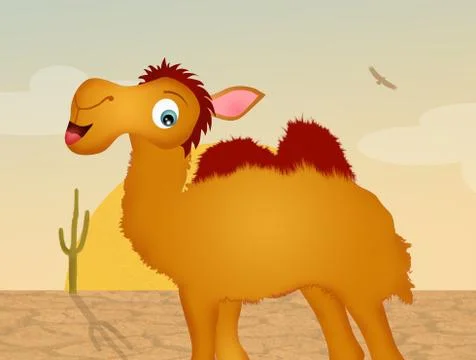 Camel in the desert Stock Illustration