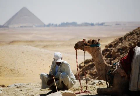 A camel in the desert Stock Photos