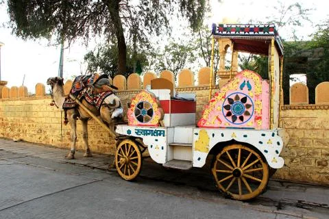 Camel Driven Cart on Roadside Stock Photos