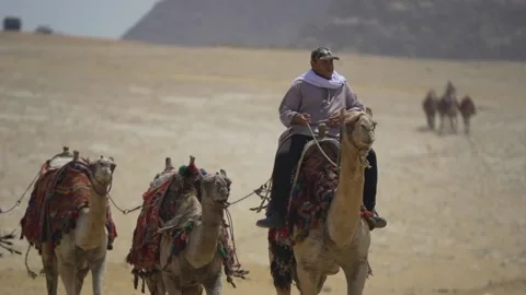 Camel driver at Great Pyramid Stock Footage 165529426