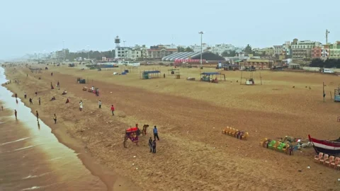 Camel driver with his camel on a beach in India, aerial drone view 4k Stock Footage 134987724
