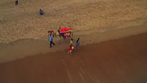 Camel driver with his camel on a beach in India, aerial drone view 4k Stock Footage 134991229