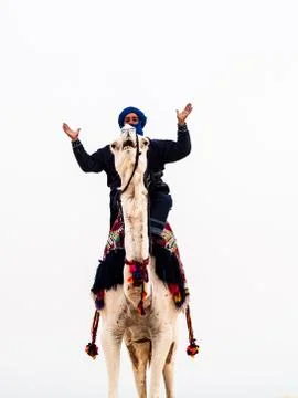 Camel driver Stock Photos