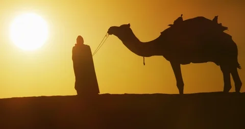 Camel driver walking in desert at sunset. Stock Footage 93273013
