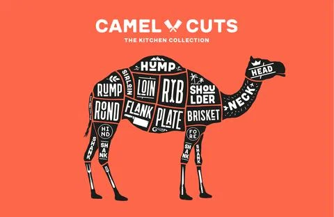 Camel, dromedary. Scheme, diagram, chart pork, butcher guide Illustrazione stock