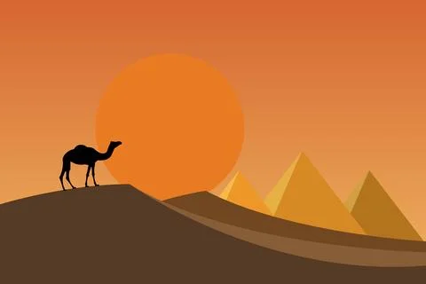 Camel on dunes Stock Illustration