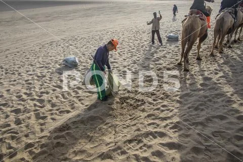 Camel dung clean up at camel rides, Singing Sand Mountain, Taklamakan Desert, Stock Photos