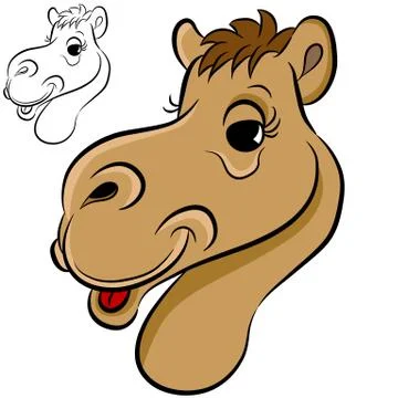 Camel face Stock Illustration