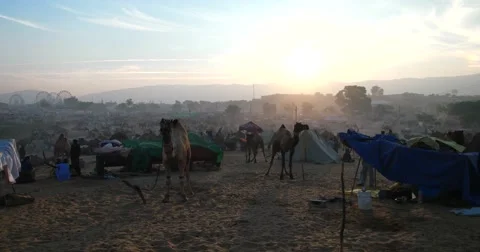 Camel Fair Pushkar 2015 Stock-Footage 58346881