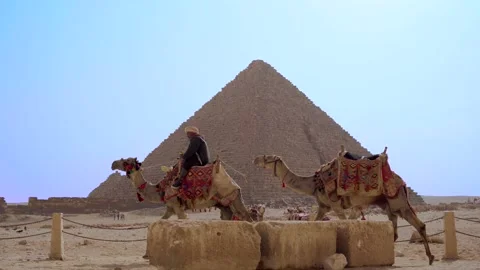 Camel in front of Pyramid Vídeos de archivo 171766639