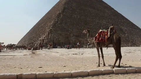 A camel in front of Pyramids in Egypt while dust blows Stock Footage 208679375