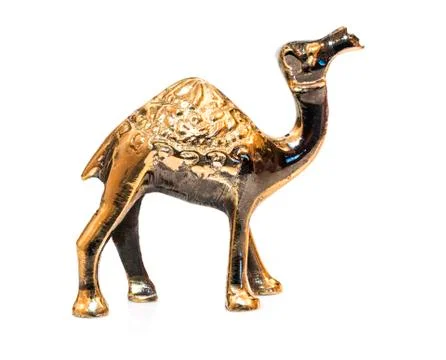 Camel gold on white background Stock Photos