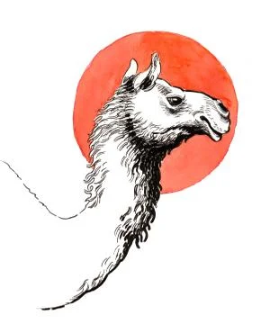 Camel head Stock Illustration