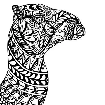 Camel head side position mandala zentangle coloring page illustration Stock Illustration