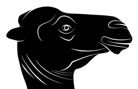 Camel Head Silhouette, Vector Illustration Stock Illustration