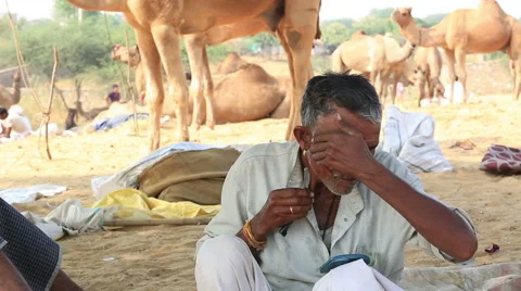 Camel herder shaves his beards among the camels Stock Footage 61366515
