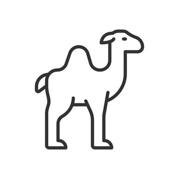 Camel, icon in line design. camel, animal, desert, mammal, hump, wildlife Stock Illustration