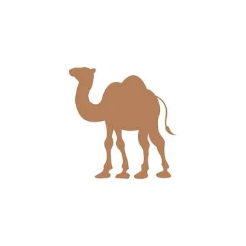 Camel Icon Vector illustration Stock Illustration