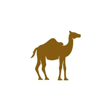 Camel Icon Vector illustration Stock Illustration