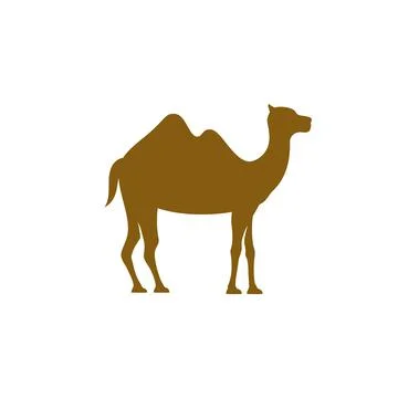 Camel Icon Vector illustration Stock Illustration