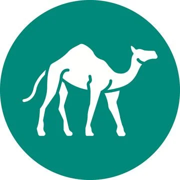 Camel icon vector image. Stock Illustration