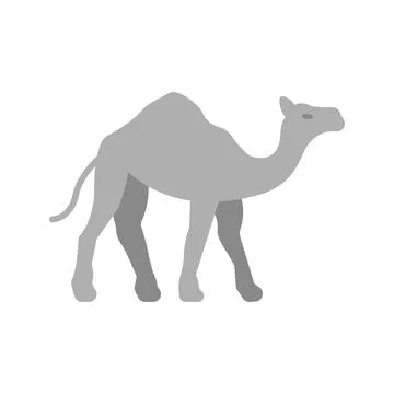 Camel icon vector image. Stock Illustration
